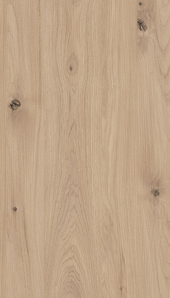 Carya Wood